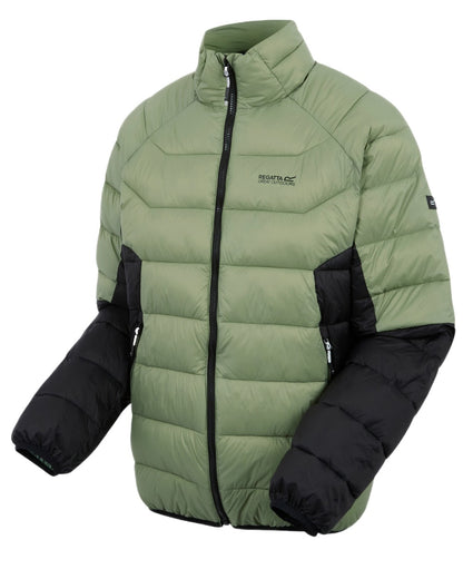 Oil Green Black Coloured Regatta Mens Dalent Padded Jacket on white background 