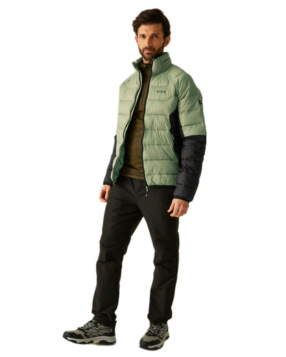 Oil Green Black Coloured Regatta Mens Dalent Padded Jacket on white background 