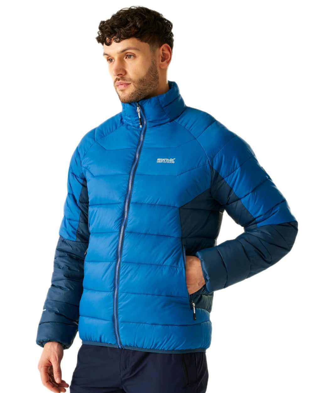 Snorkel Blue Moonlight Denim Coloured Regatta Mens Dalent Padded Jacket on white background 