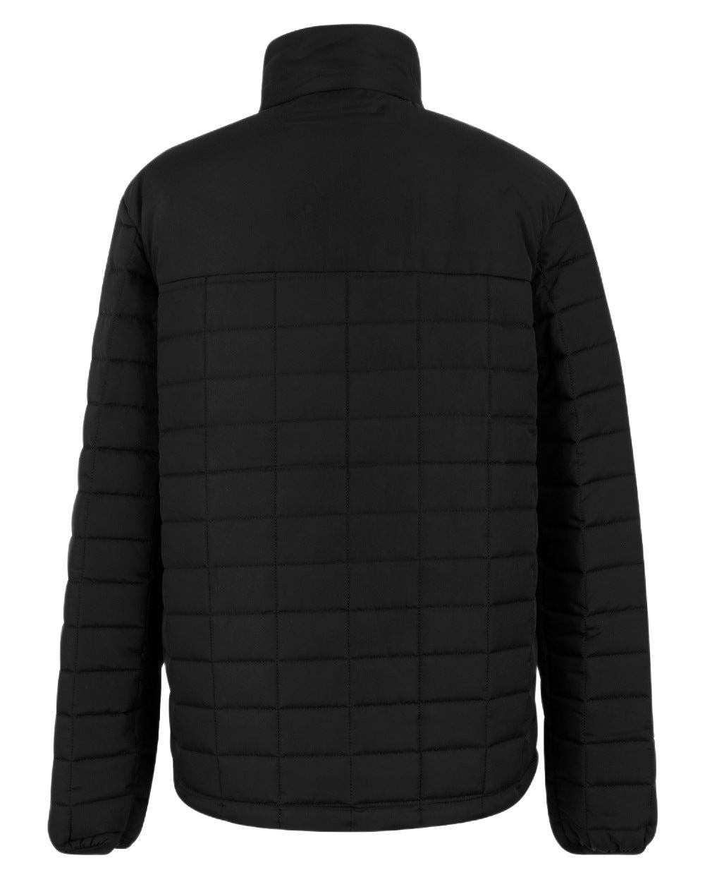 Black Coloured Regatta Mens Haire Padded Jacket on white background 
