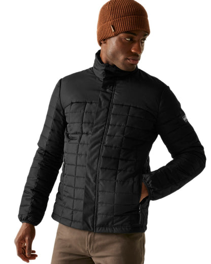 Black Coloured Regatta Mens Haire Padded Jacket on white background 