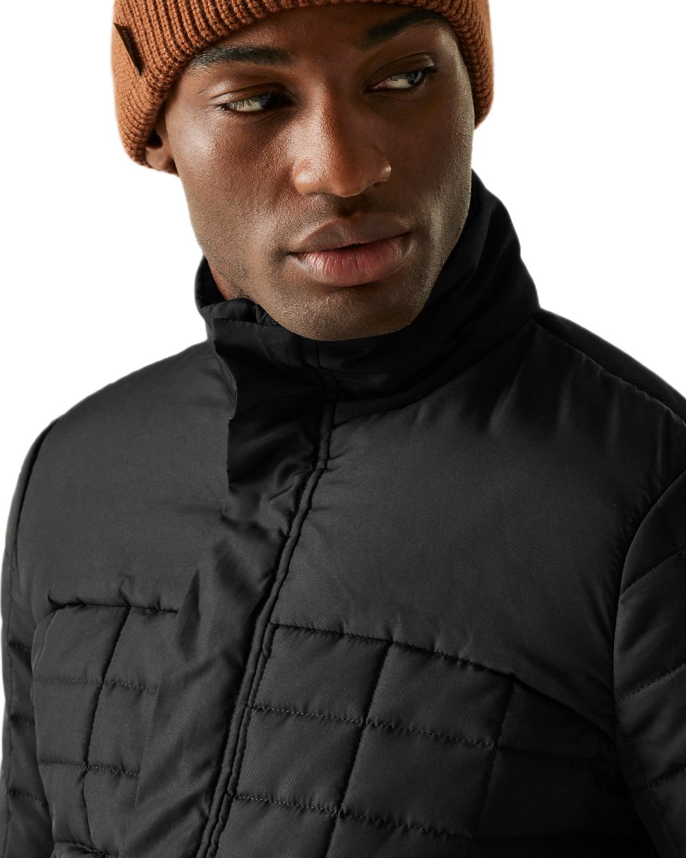 Black Coloured Regatta Mens Haire Padded Jacket on white background 