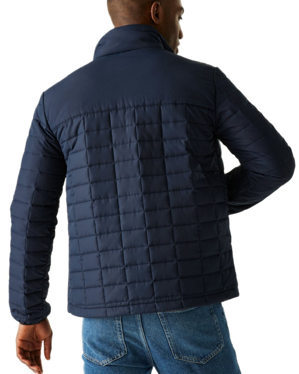 Navy Black Coloured Regatta Mens Haire Padded Jacket on white background 