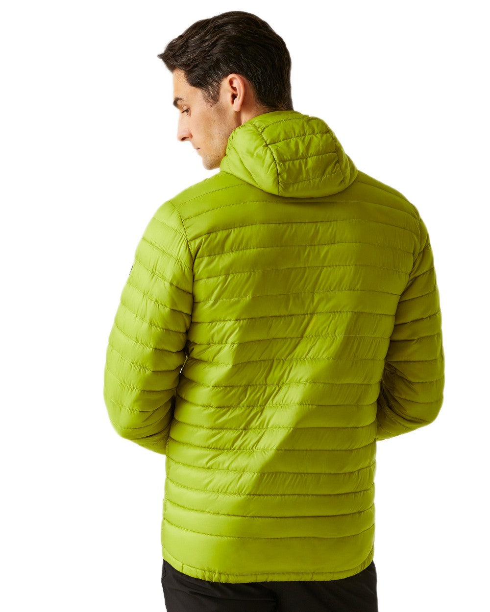 Grenoble Green Coloured Regatta Mens Hurden Padded Jacket on white background 