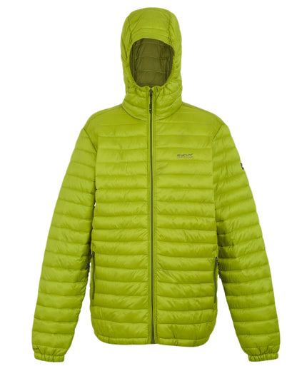 Grenoble Green Coloured Regatta Mens Hurden Padded Jacket on white background 