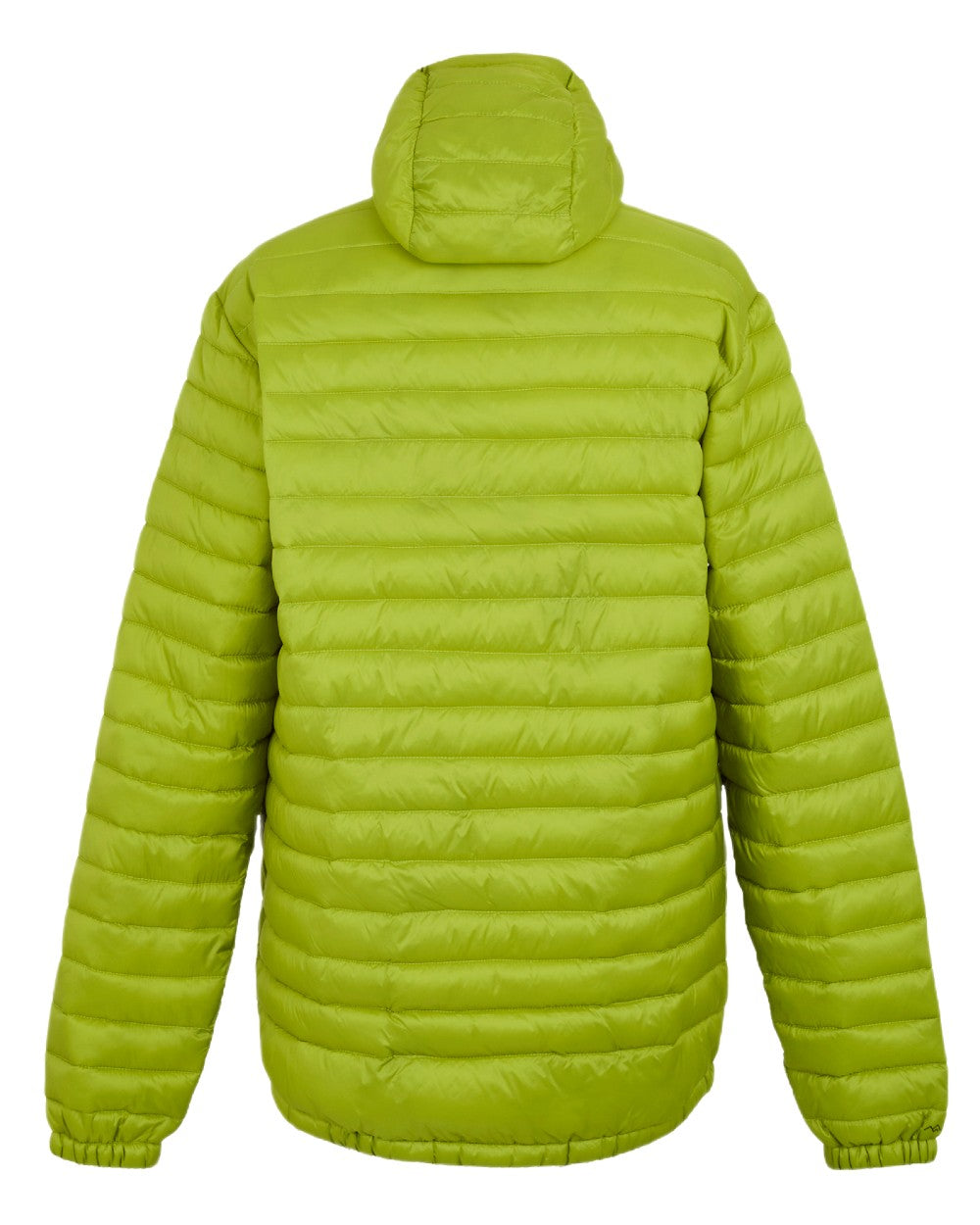 Grenoble Green Coloured Regatta Mens Hurden Padded Jacket on white background 