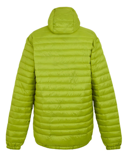 Grenoble Green Coloured Regatta Mens Hurden Padded Jacket on white background 