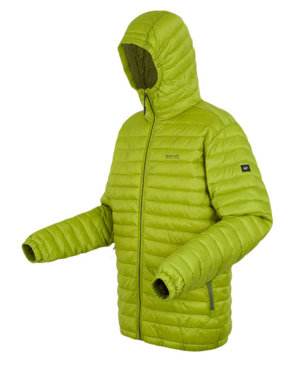 Grenoble Green Coloured Regatta Mens Hurden Padded Jacket on white background 