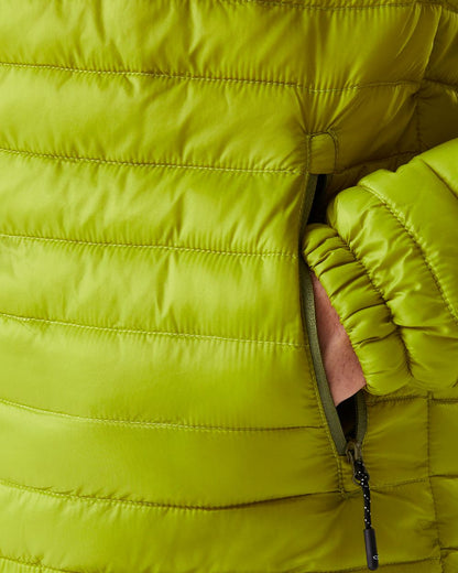 Grenoble Green Coloured Regatta Mens Hurden Padded Jacket on white background 