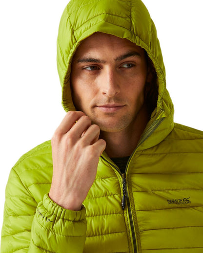 Grenoble Green Coloured Regatta Mens Hurden Padded Jacket on white background 