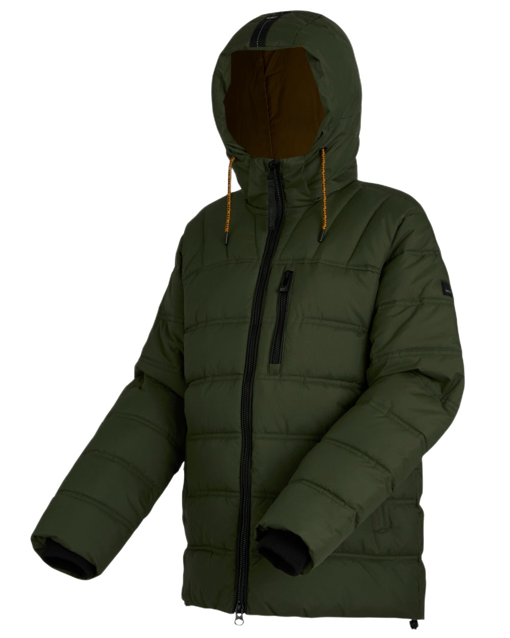 Olive Night Pumpkin Spice Coloured Regatta Mens Leeshaw Padded Jacket on white background 