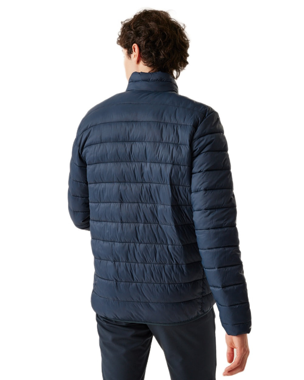 Navy Coloured Regatta Mens Marizion Padded Jacket on white background 