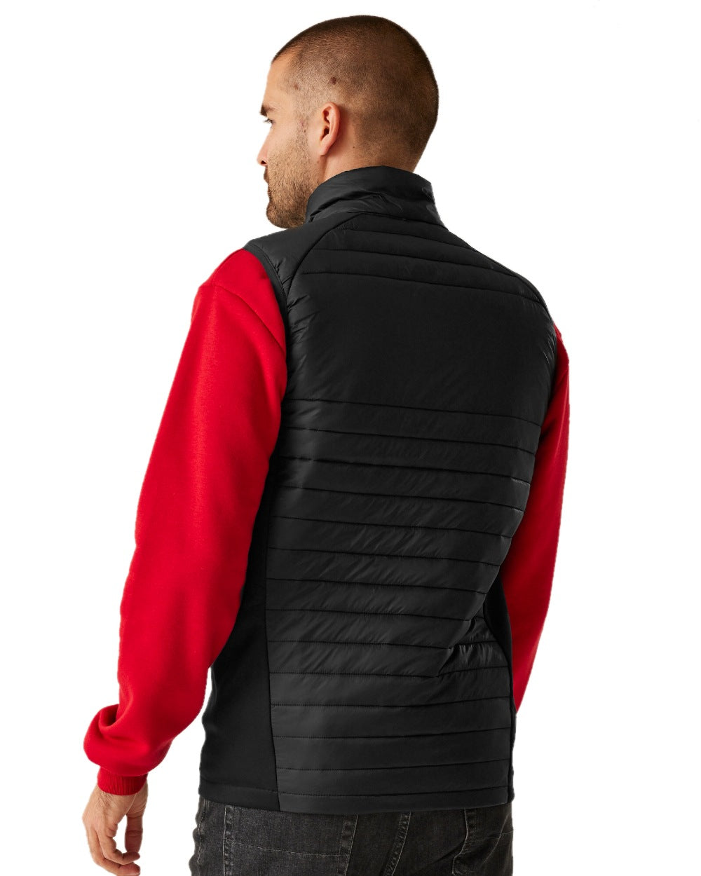 Black Classic Red coloured Regatta Mens Navigate Hybrid Bodywarmer on white background 
