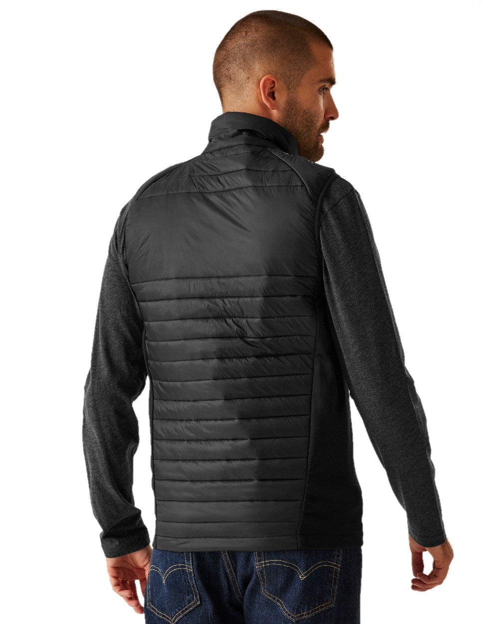 Black Seal Grey coloured Regatta Mens Navigate Hybrid Bodywarmer on white background 