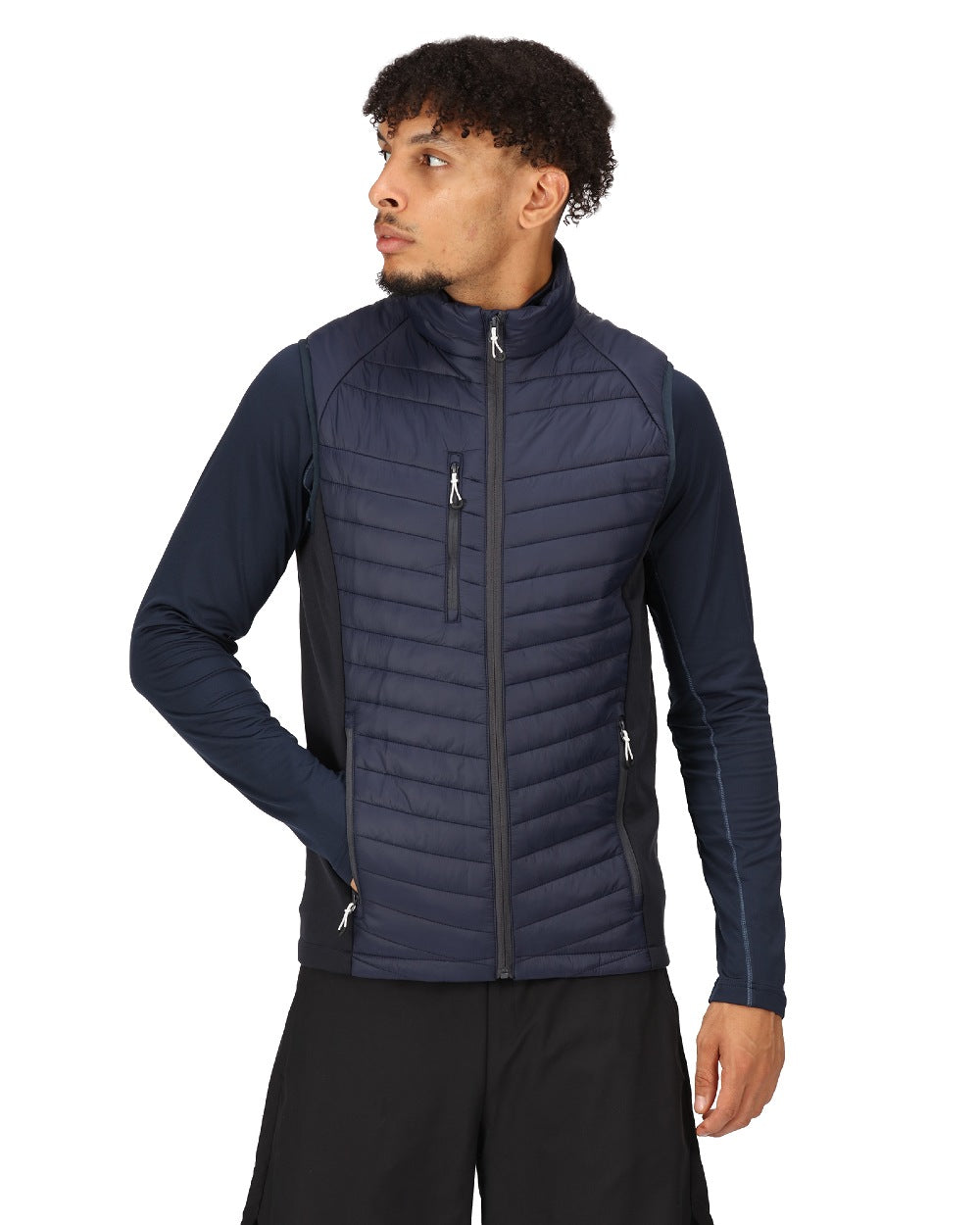 Navy Seal Grey coloured Regatta Mens Navigate Hybrid Bodywarmer on white background 