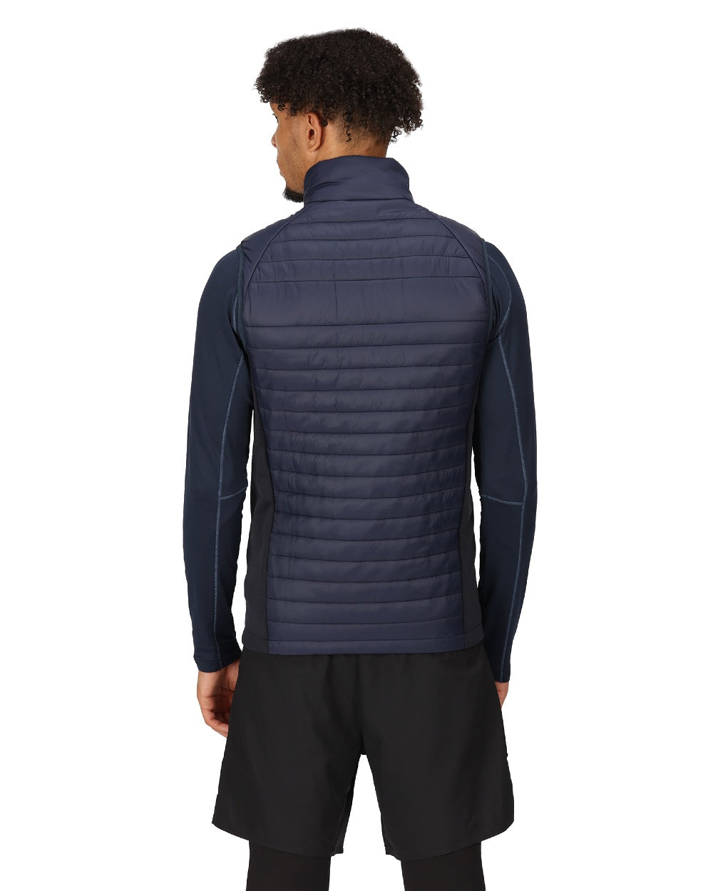 Navy Seal Grey coloured Regatta Mens Navigate Hybrid Bodywarmer on white background 