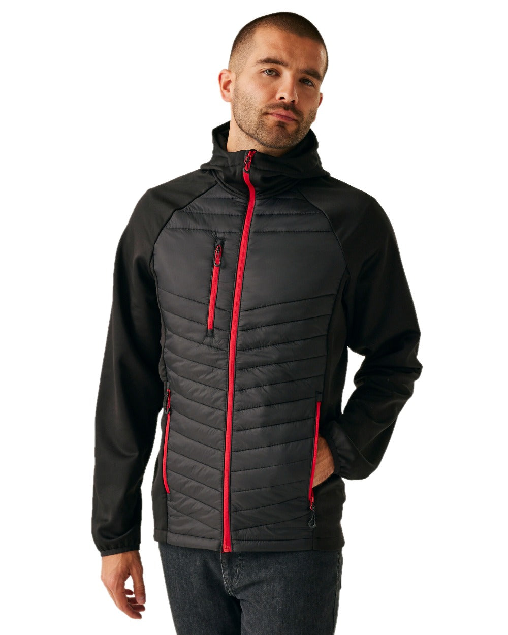 Black Classic Red coloured Regatta Mens Navigate Hybrid Jacket on white background 
