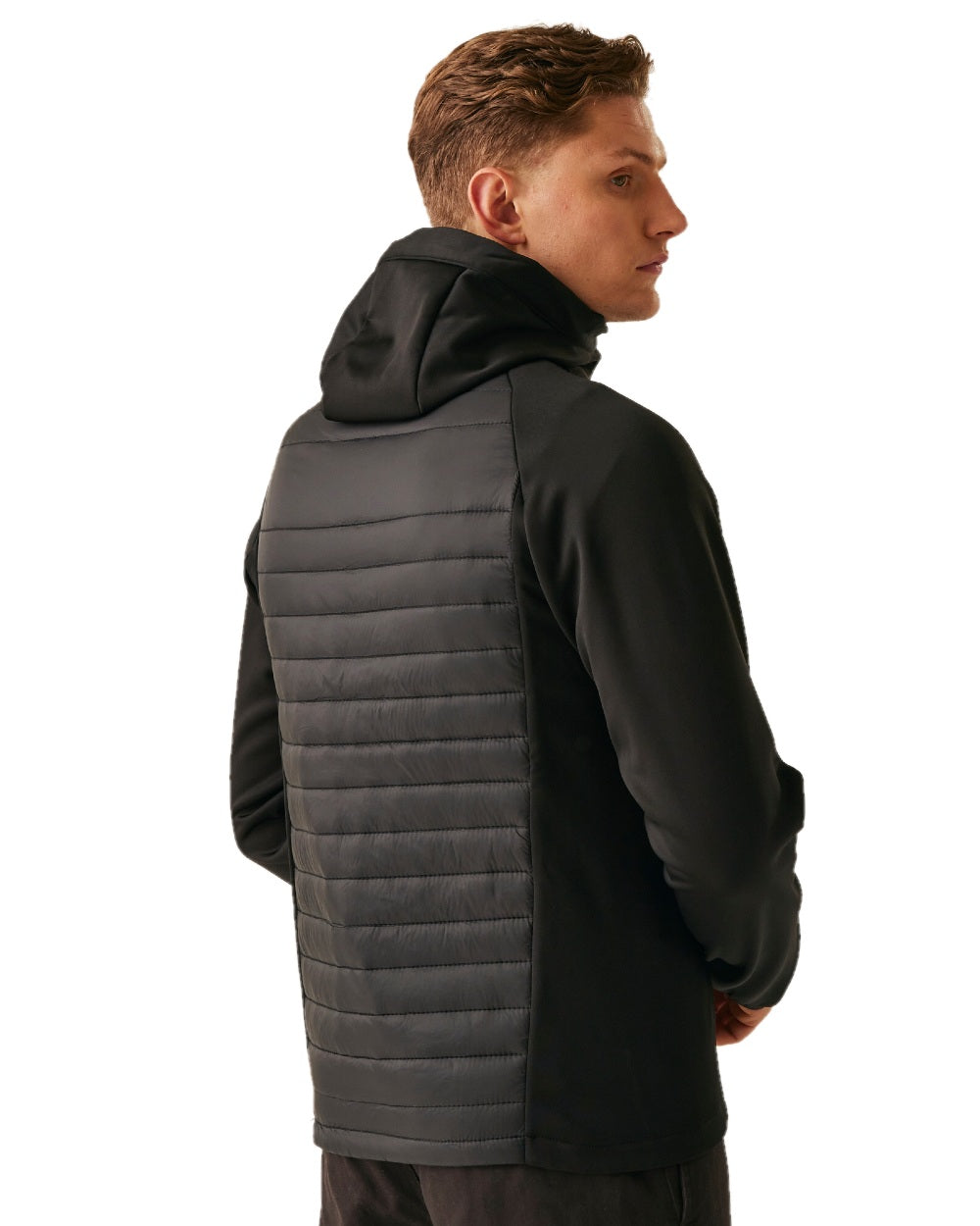 Black New Royal coloured Regatta Mens Navigate Hybrid Jacket on white background 