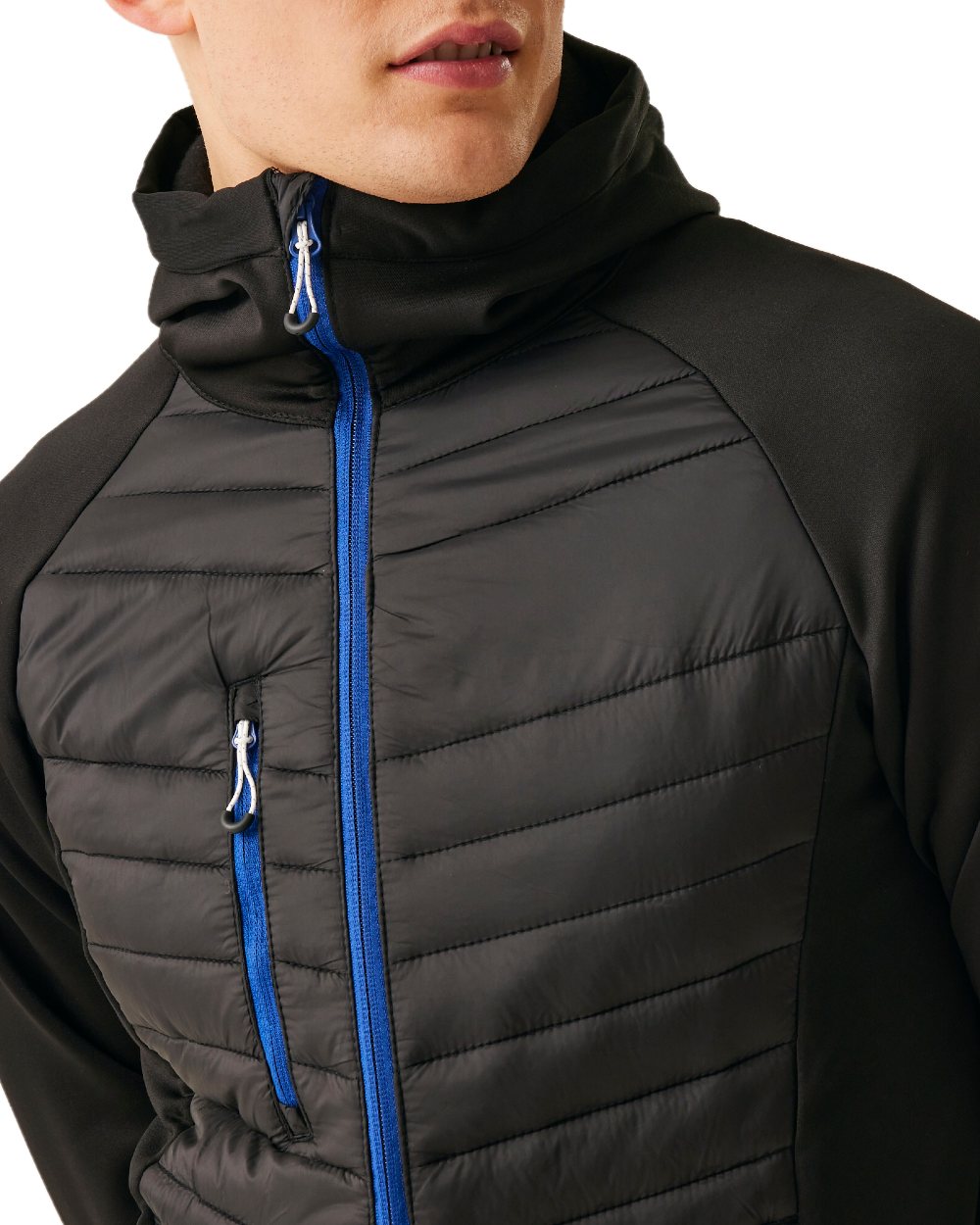 Black New Royal coloured Regatta Mens Navigate Hybrid Jacket on white background 