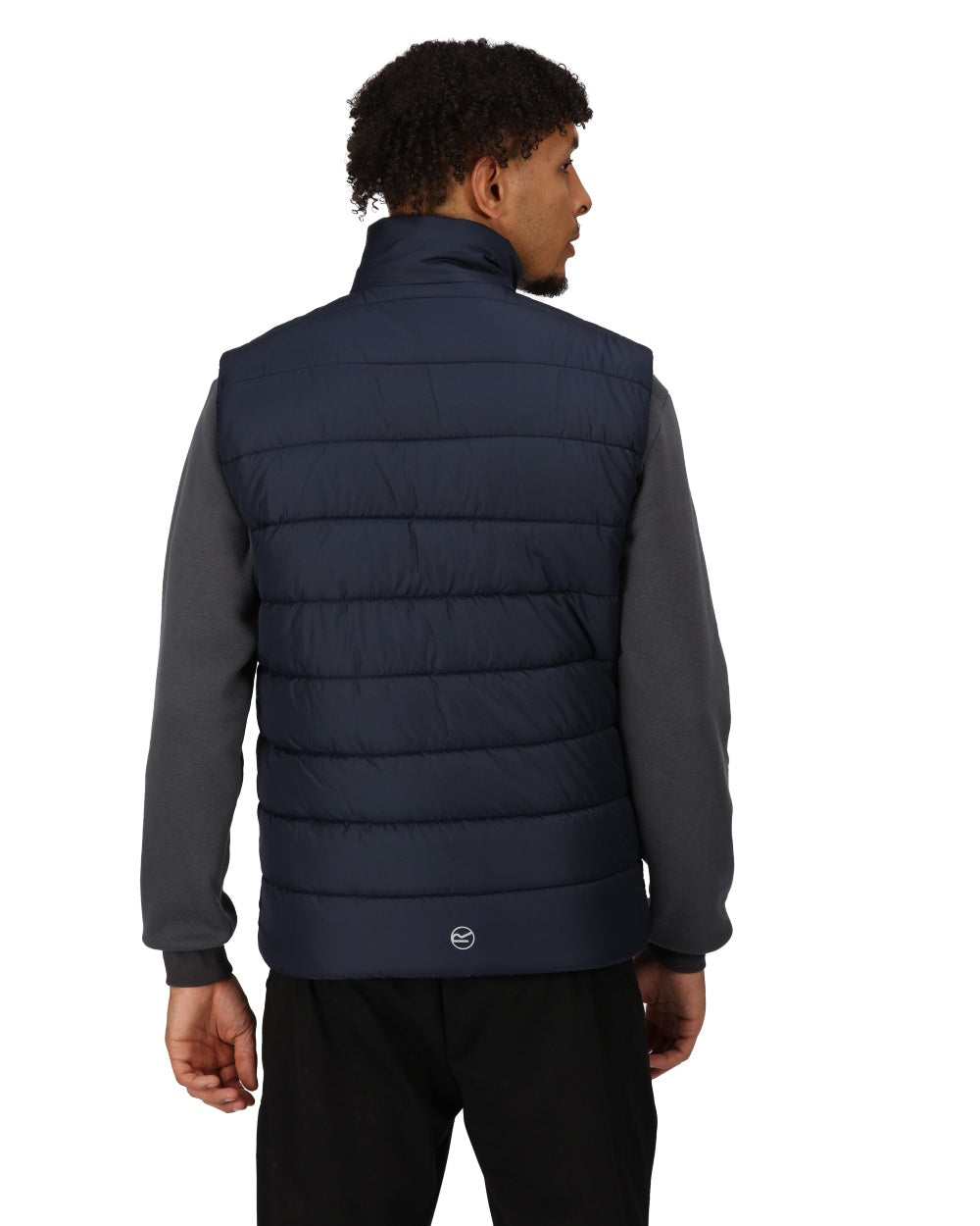 Navy Seal Grey coloured Regatta Mens Navigate Thermal Bodywarmer on white background 