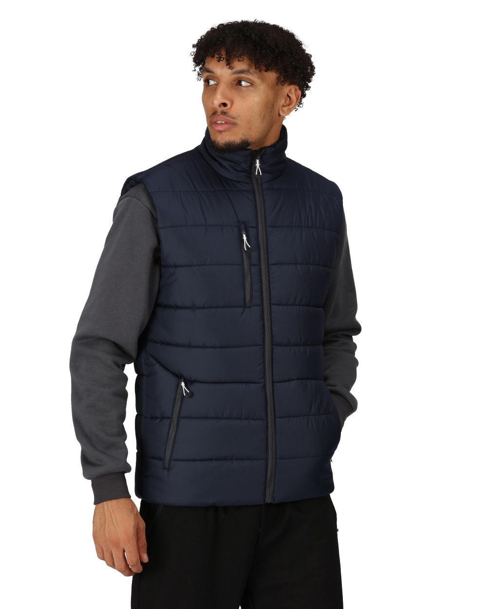 Navy Seal Grey coloured Regatta Mens Navigate Thermal Bodywarmer on white background 