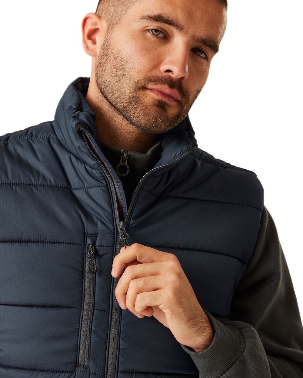 Navy Seal Grey coloured Regatta Mens Navigate Thermal Bodywarmer on white background 