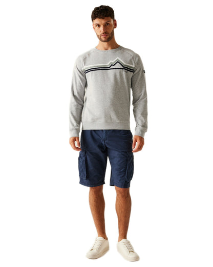 Grey Marl Linear Mountain Coloured Regatta Mens Nithsdale Crewneck Sweatshirt on white background 