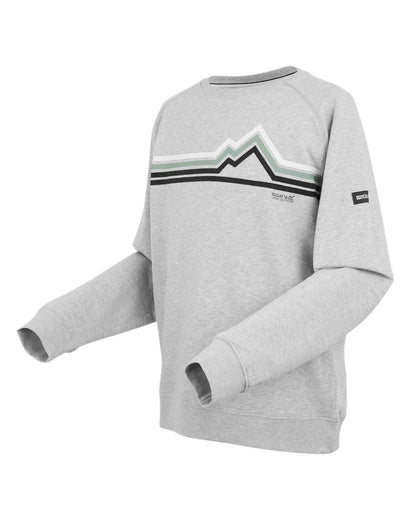 Grey Marl Linear Mountain Coloured Regatta Mens Nithsdale Crewneck Sweatshirt on white background 