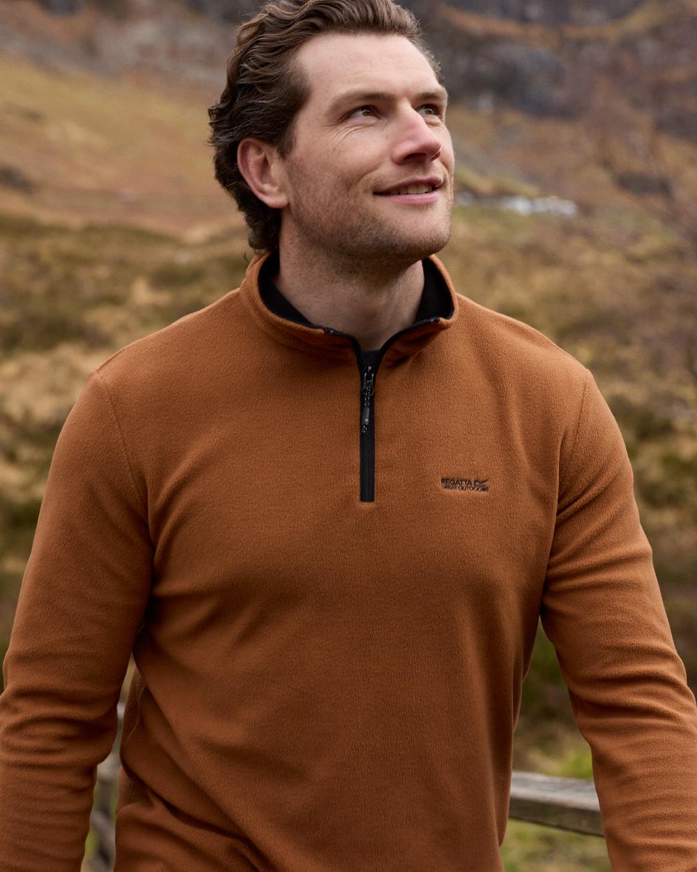 Nut Brown Coloured Regatta Mens Thompson Lightweight Half Zip Fleece on mountain background 