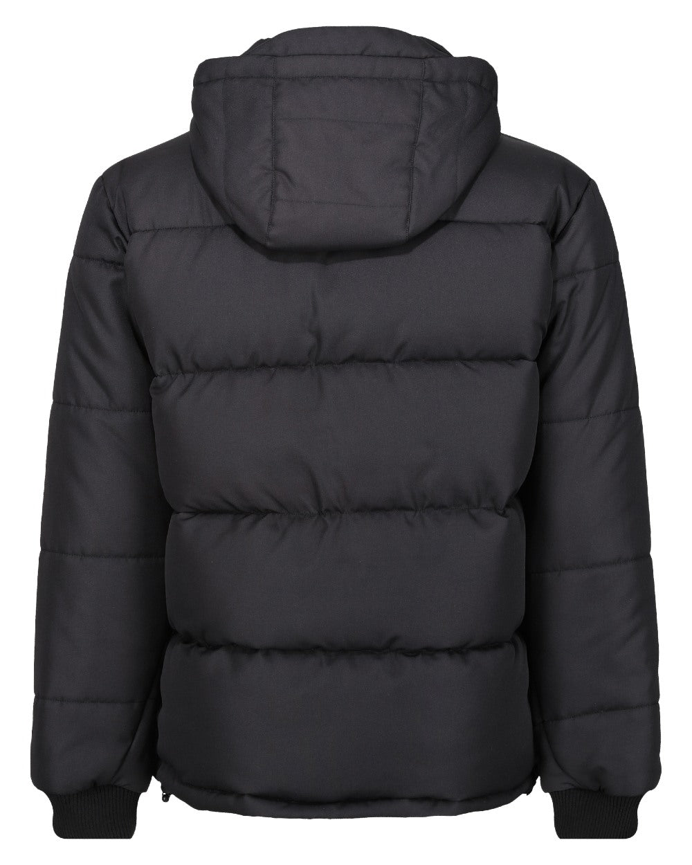 Black coloured Regatta Professional Mens Northdale Insulated Jacket on white background 