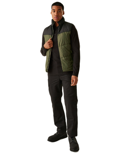 Dark Khaki coloured Regatta Professional Mens Regime Insulated Bodywarmer on white background 