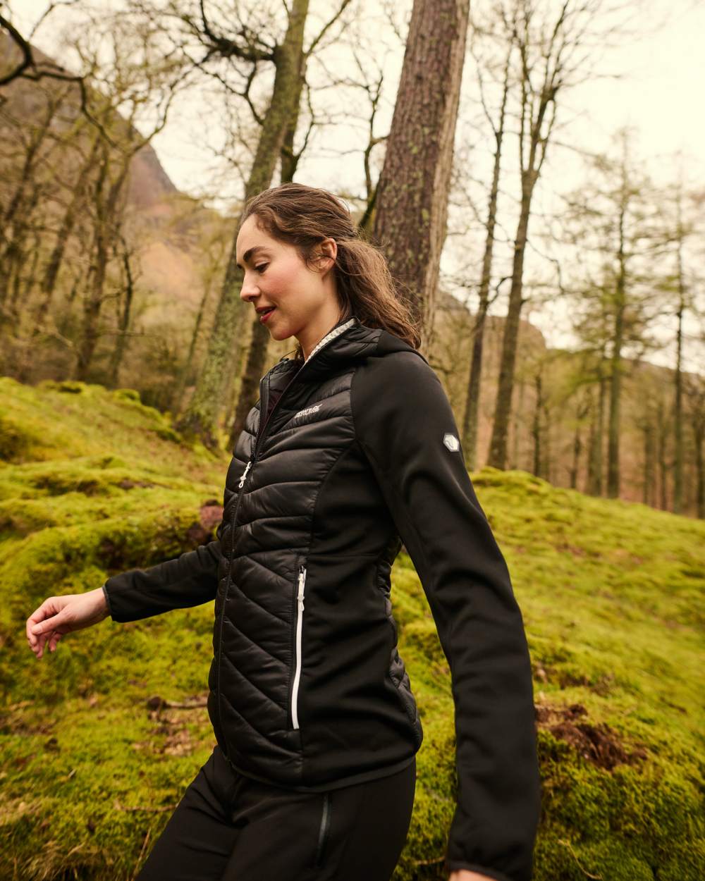 Black Coloured Regatta Womens Andreson VIII Hybrid Jacket on forest background 