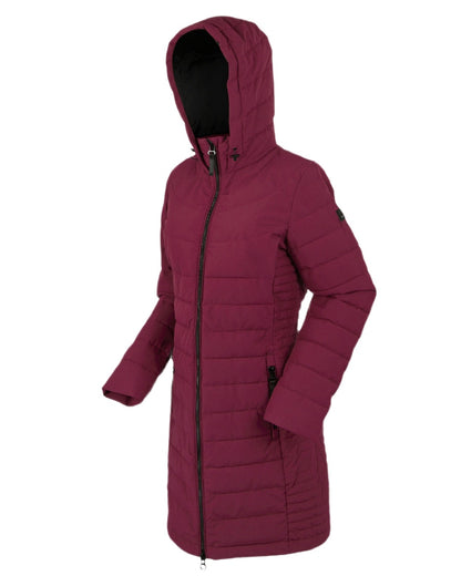 Dark Pimento Coloured Regatta Womens Andria Padded Jacket on white background 