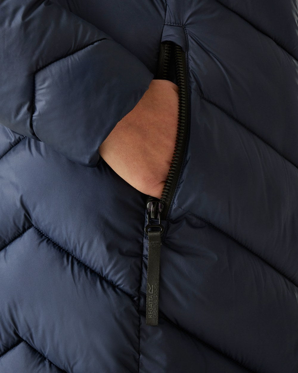 Navy Coloured Regatta Womens Anita Quilted Jacket on white background 