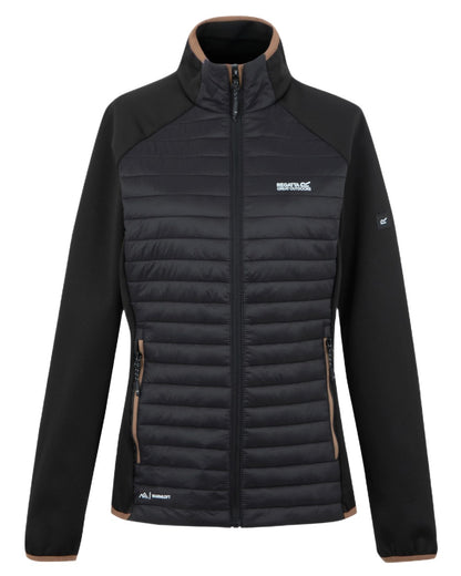 Black Mocha Coloured Regatta Womens Clumber Hybrid Jacket on white background 