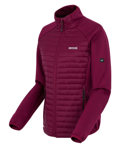 Dark Pimento Coloured Regatta Womens Clumber Hybrid Jacket on white background 
