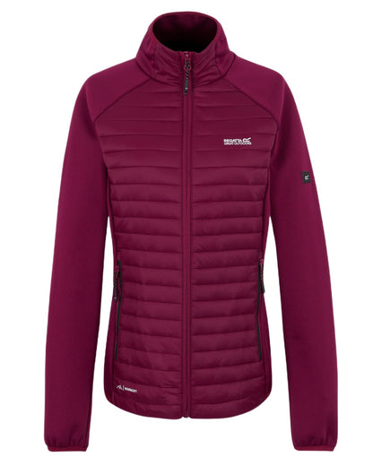 Dark Pimento Coloured Regatta Womens Clumber Hybrid Jacket on white background 