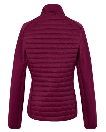 Dark Pimento Coloured Regatta Womens Clumber Hybrid Jacket on white background 