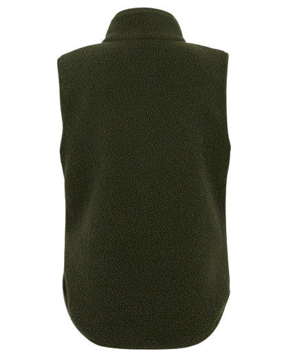 Dark Khaki Coloured Regatta Womens Frankie Borg Gilet on white background 