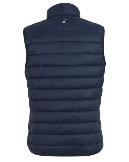 Navy Coloured Regatta Womens Hillpack II Gilet on white background 
