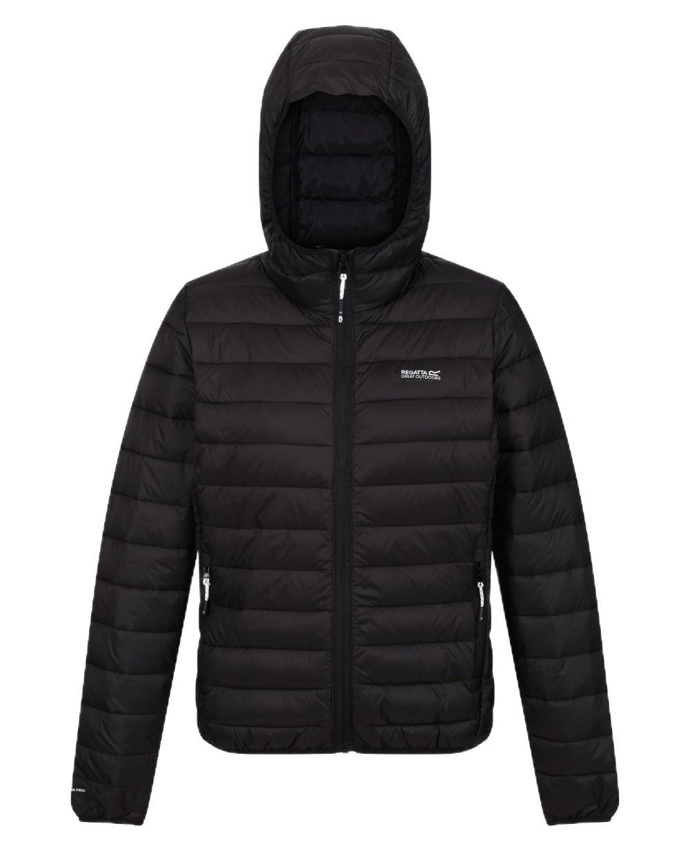 Black Coloured Regatta Womens Hooded Marizion Quilted Jacket on white background 