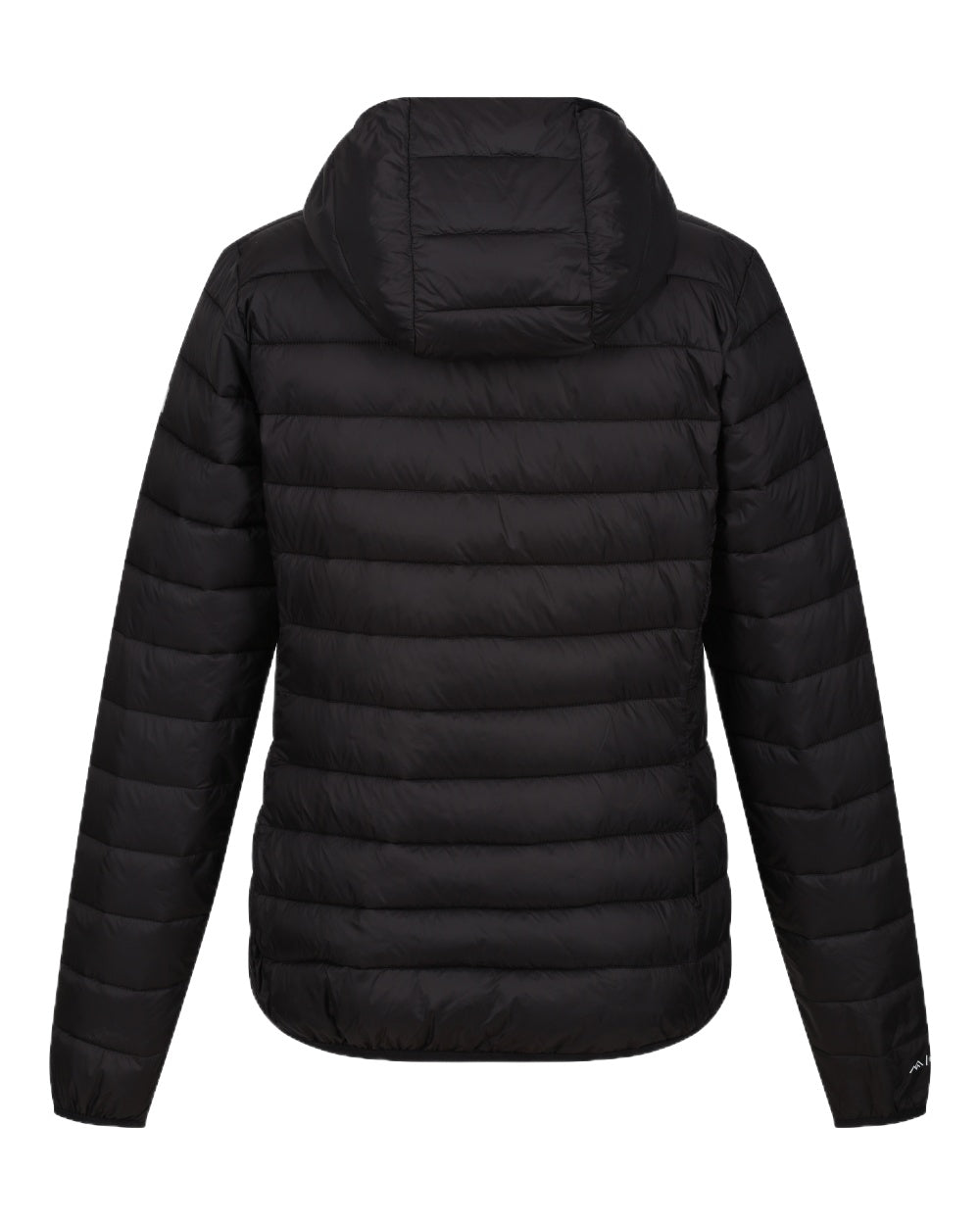 Black Coloured Regatta Womens Hooded Marizion Quilted Jacket on white background 