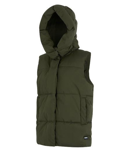 Dark Khaki Coloured Regatta Womens Kelse Gilet on white background 