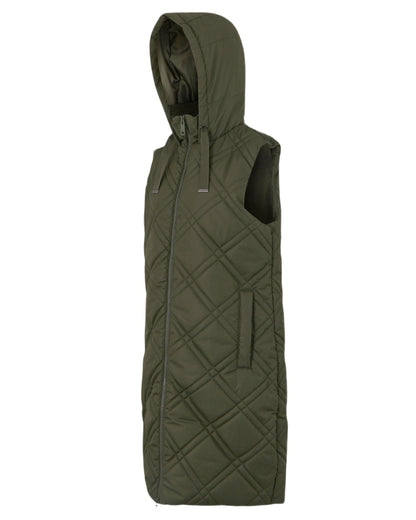 Dark Khaki Coloured Regatta Womens Rurietta Longer Length Bodywarmer on white background 