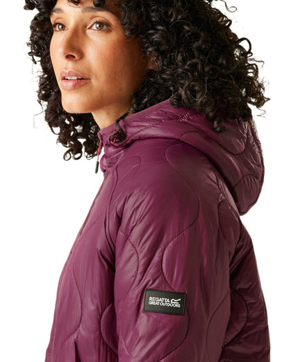Fig Coloured Regatta Womens Triea Quilted Jacket on white background 