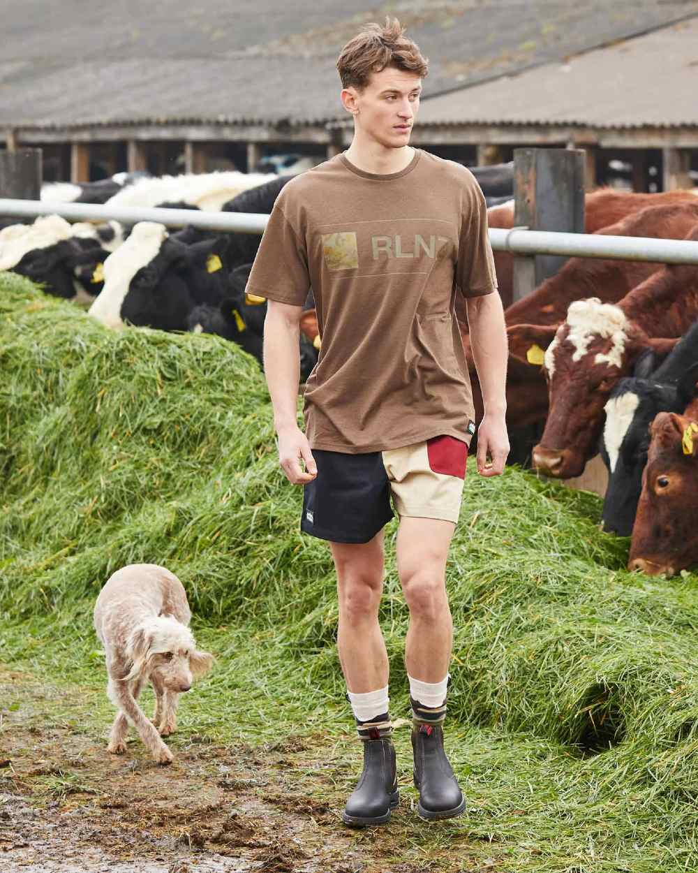 Black Multi coloured Ridgeline Backslider Shorts on farmyard background 