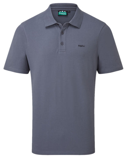 Storm Coloured Ridgeline Mens Signature Polo Shirt on white background 