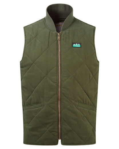 Deep Forest coloured Ridgeline Mens Wester Skeld Gilet on white background 