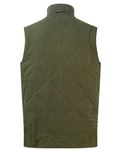 Deep Forest coloured Ridgeline Mens Wester Skeld Gilet on white background 
