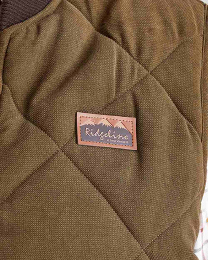 Moody Teak coloured Ridgeline Mens Wester Skeld Gilet on grey background 